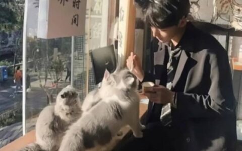 高清逼格高的情侣头像一左一右图片 逼格高情侣微信头像