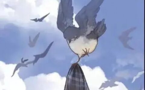 兔子小鸟可爱动漫情头图片