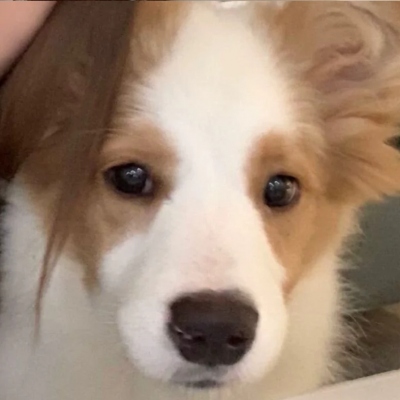 高清情侣头像真人超甜双人情头一对图片 真人情头超甜一人一半