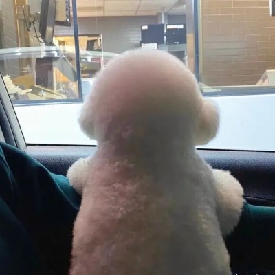 情侣头像微信一对独一无二图片