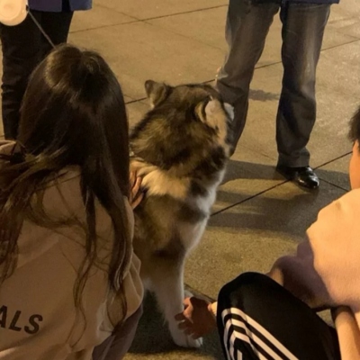 双人 超甜 不烂大街的情侣头像真人高清图片