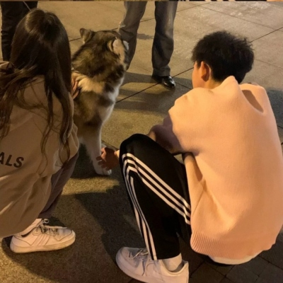 双人 超甜 不烂大街的情侣头像真人高清图片