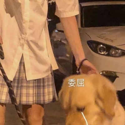 高清可爱的对象是动物情头真人图片 对象是动物情头