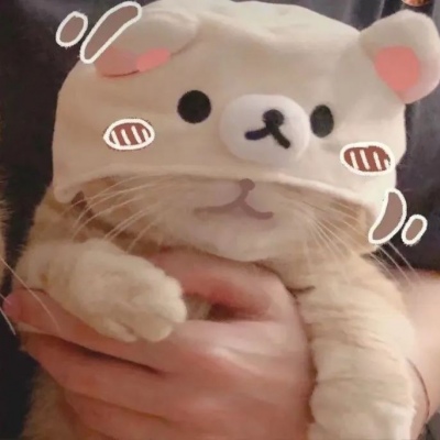 高清超有爱的情头双人超甜猫咪图片 超甜可爱猫咪情侣头像