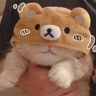 高清超有爱的情头双人超甜猫咪图片 超甜可爱猫咪情侣头像