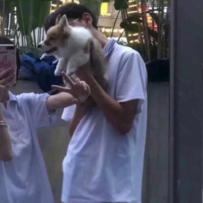 高清超明显超宠溺的情侣头像图片 超甜情侣头像宠溺
