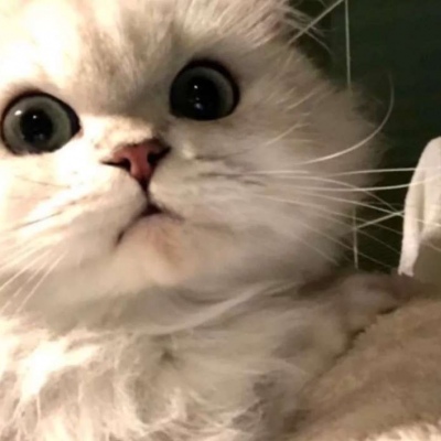 2021年情侣头像可爱两对高清图片