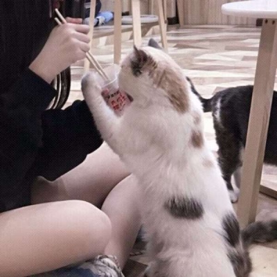 快手清晰情侣头像一对