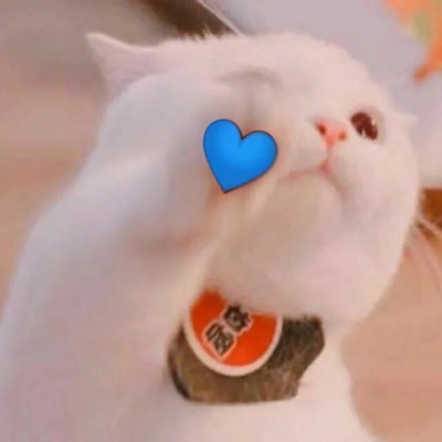 直萌情侣头像可爱动物一对高清图片 猫狗cp情头可爱