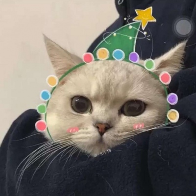 狗狗猫咪可爱萌宠情头一对圣诞节图片 萌宠圣诞情头