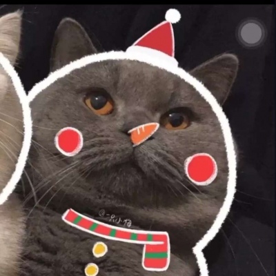 狗狗猫咪可爱萌宠情头一对圣诞节图片 萌宠圣诞情头