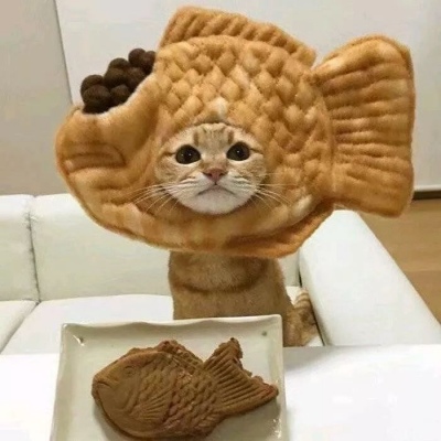 可爱一对 猫咪萌宠情侣头像