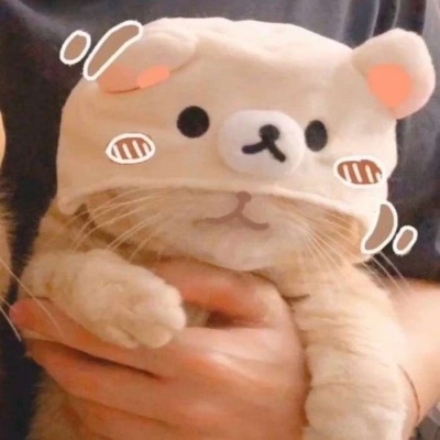 高清可爱小猫咪情头左右一对 超萌猫咪情头一对两张