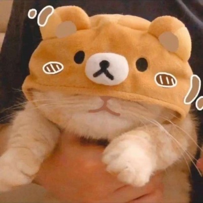 高清可爱小猫咪情头左右一对 超萌猫咪情头一对两张