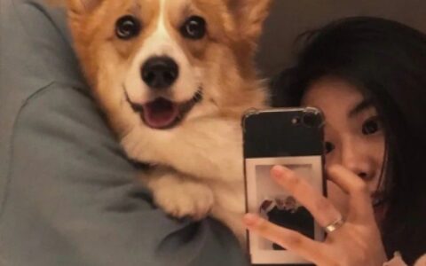 唯美情侣头像超甜,高清超甜的情侣头像唯美图片