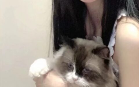 微信对象不是人系列情头,高清对象不是人系列情头一对两张图片