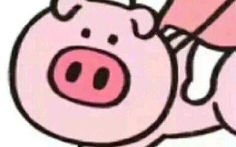 高清沙雕可爱风情侣头像精选 两人沙雕情侣头像图片大全
