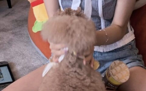 男友不是人情头真人,高清可爱的真人情侣头像男友不是人图片