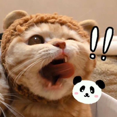 橘猫情侣头像一对两张,高清可爱的橘猫sally情侣头像图片