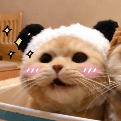 橘猫情侣头像一对两张,高清可爱的橘猫sally情侣头像图片