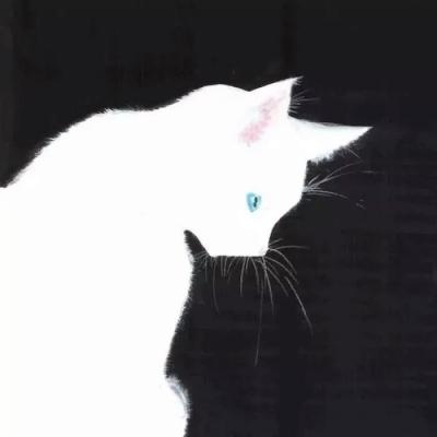 高清可爱萌的猫咪情侣头像一左一右图片 两只猫咪的情头