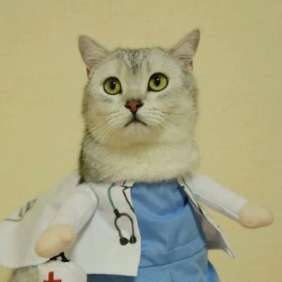 高清可爱萌的猫咪情侣头像一左一右图片 两只猫咪的情头