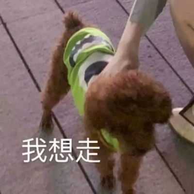 可爱情头对象不是人,高清我的对象不是人系列情侣头像图片