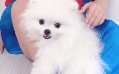 高清超级可爱的萌娃情侣头像图片 超甜超可爱的萌娃情侣头像