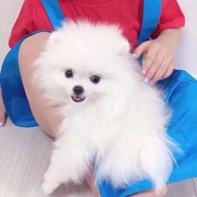 高清超级可爱的萌娃情侣头像图片 超甜超可爱的萌娃情侣头像