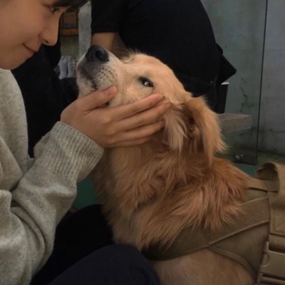 对象是狗的情侣头像,高清可爱女孩和狗情头一左一右图片
