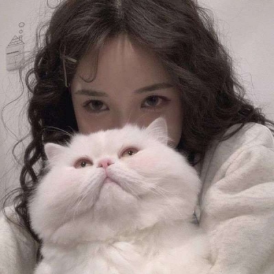 对象是猫系列情头,高清可爱的对象是猫的情侣头像图片