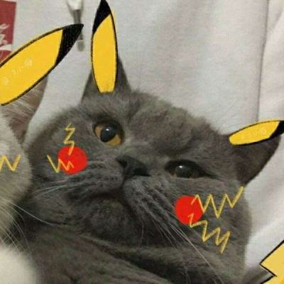 情侣小猫头像图片大全,高清可爱的萌猫头像情侣图片