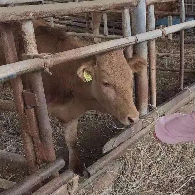 高清一对两张的沙雕类型情头图片 男女沙雕情头