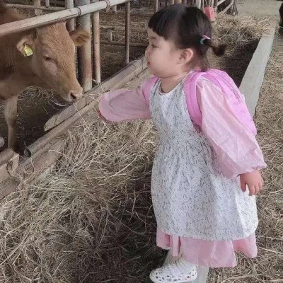 高清一对两张的沙雕类型情头图片 男女沙雕情头