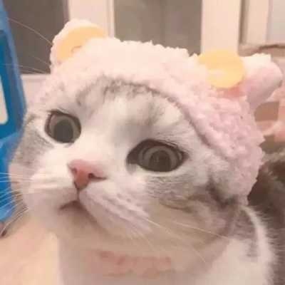 一左一右老公老婆头像,高清可爱老公老婆头像微信图片