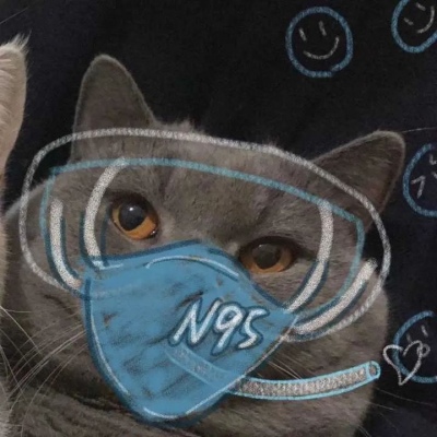 高清超萌可爱的2020猫咪情头一对图片 2020猫咪情侣头像