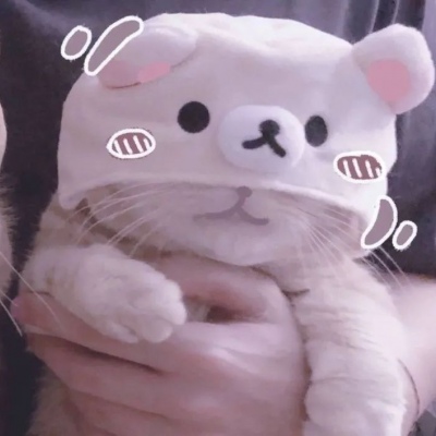 高清超萌可爱的2020猫咪情头一对图片 2020猫咪情侣头像