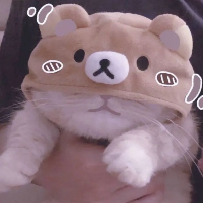 高清超萌可爱的2020猫咪情头一对图片 2020猫咪情侣头像
