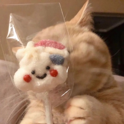 高清可爱的萌猫情头一对两张图片精选 可爱猫咪情头一对两张
