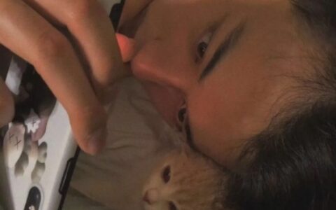 高清一男一女带猫情头图片
