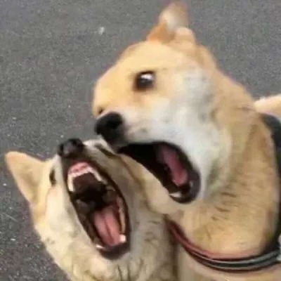 高清搞怪有点污的可爱情侣头像图片 情侣头像污超级污