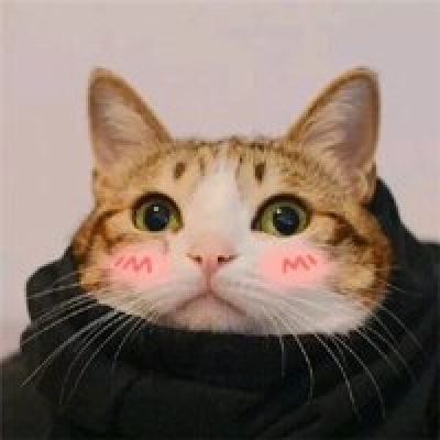可爱老婆老公猫咪情侣头像图片