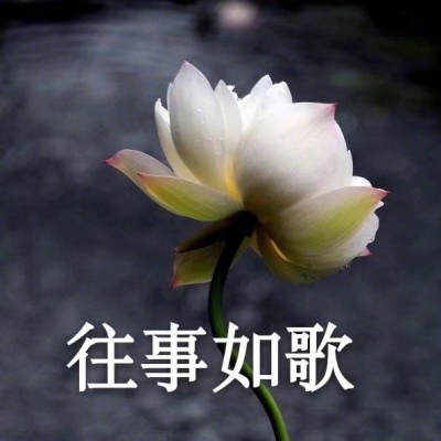高清一对两张的恋爱动漫头像图片精选 动漫恋爱头像