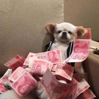 几乎都是沙雕情侣头像图片 沙雕情头图片一对