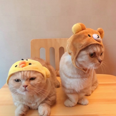 高清可爱超萌的猫系男女情头图片 猫系情头