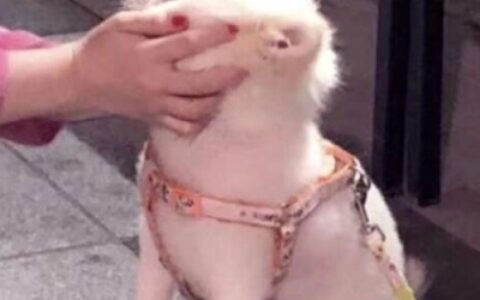 高清好看的甜蜜情头两人可爱图片 可爱甜蜜情头