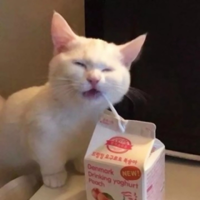 高清一对两张可爱猫咪情头图片,搞怪的可爱猫咪两只一对