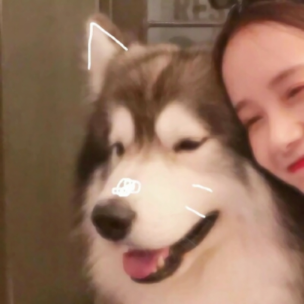 浪漫照进现实幸福又甜蜜 唯美意境浪漫幸福双人情侣头像