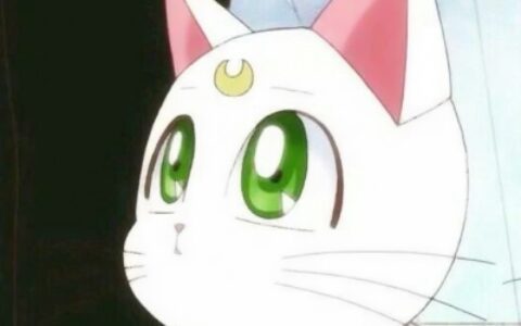 高清好看的美少女战士情侣头像一左一右 美少女战士2张情侣头像