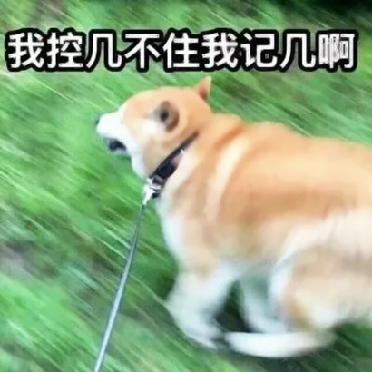 高清搞笑的沙雕动物情侣头像可爱图片 可爱沙雕动物情头